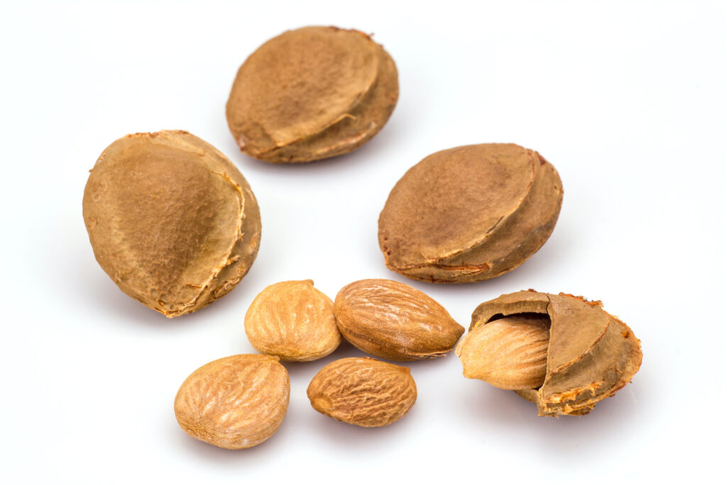 Apricot Kernal Oil