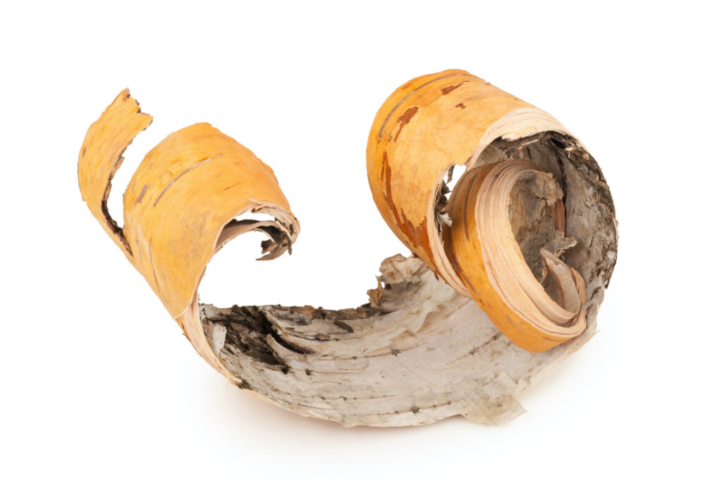 Birch Oil (Rectified)