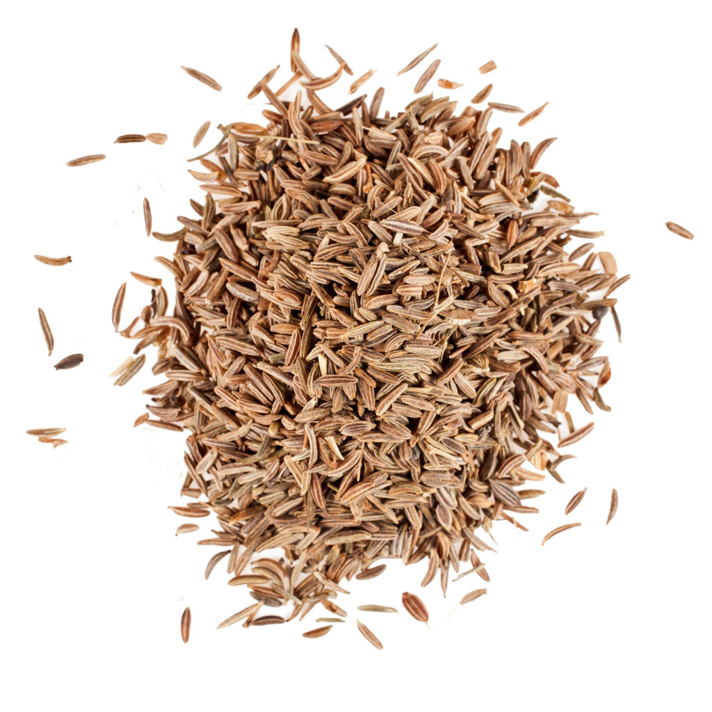 Caraway Essential Oil
