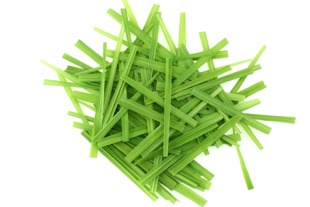 Citronella Essential Oil