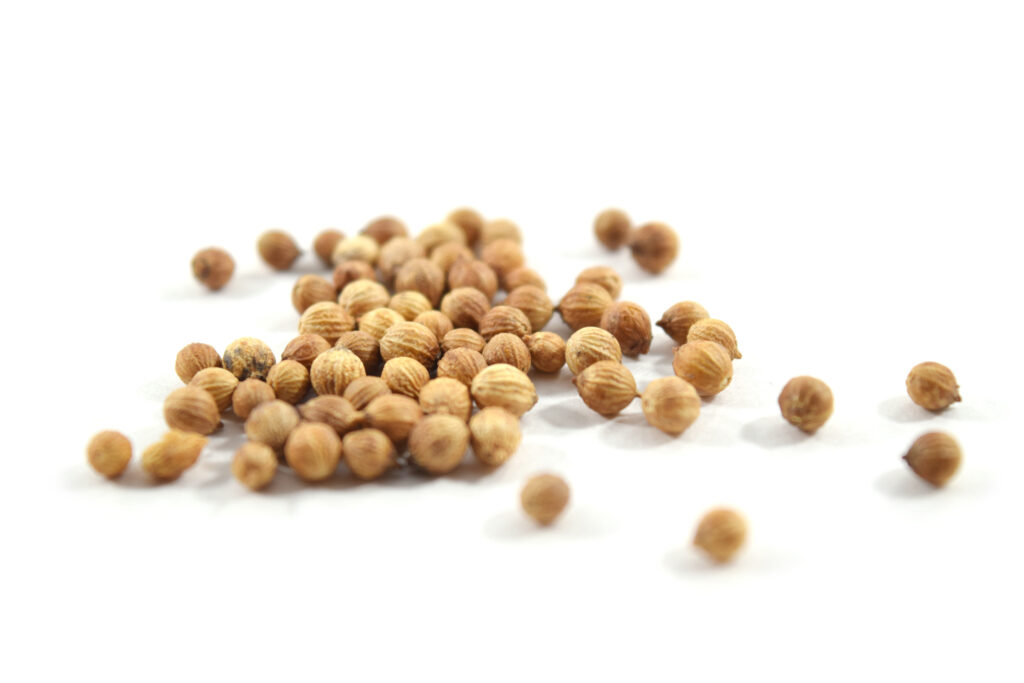 Coriander Seed Essential oil