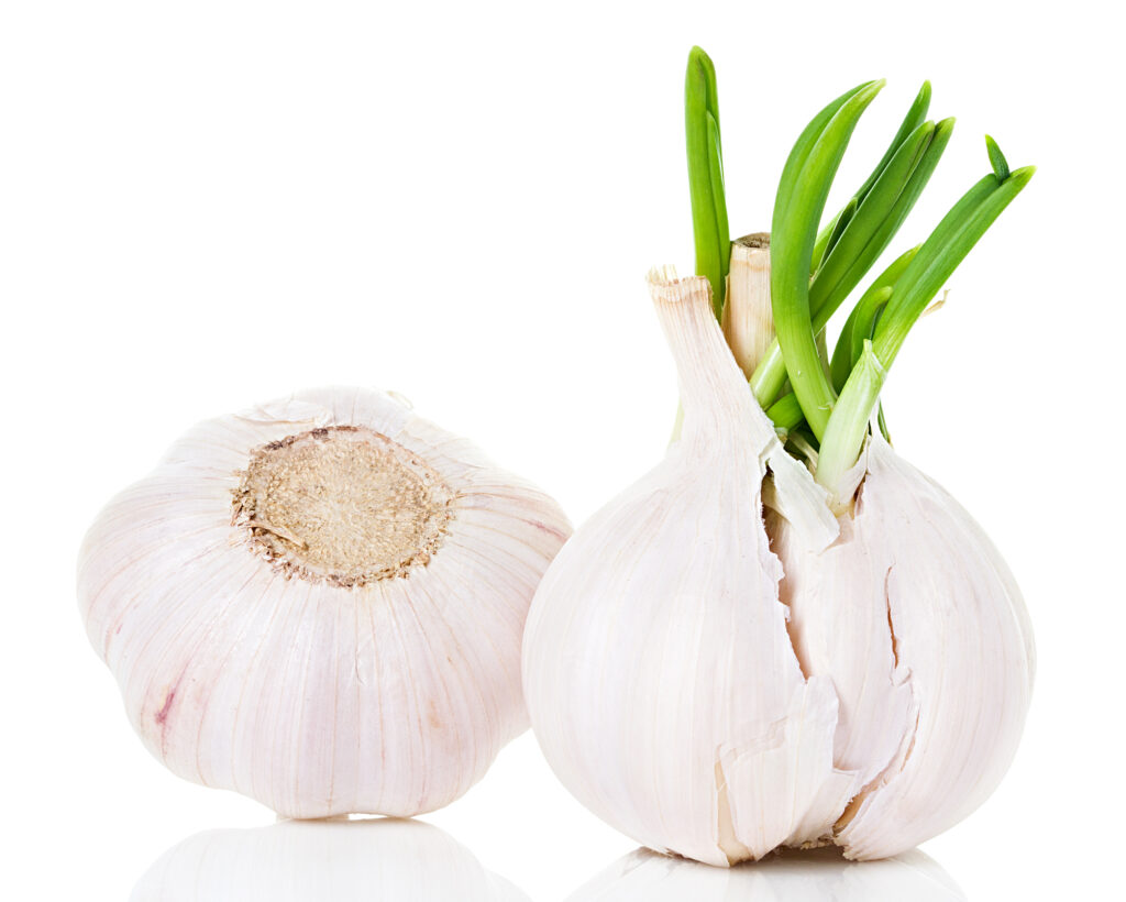 Garlic Essential Oil