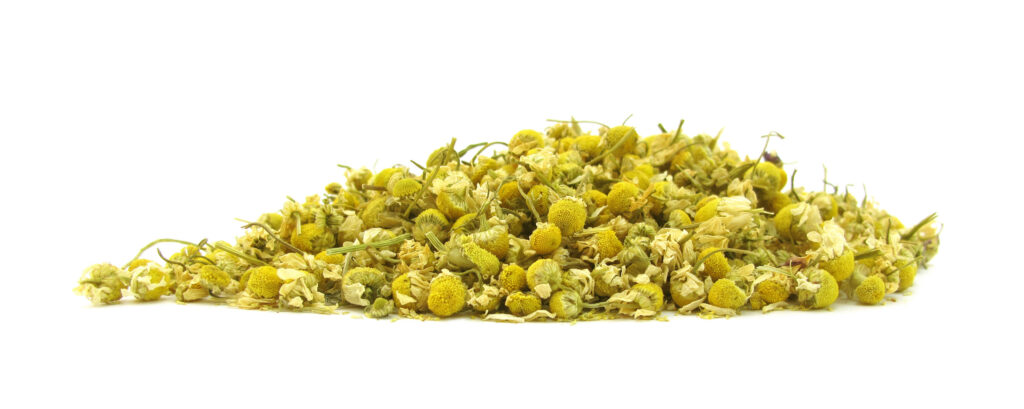 German Chamomile Hydrosol/Floral Water