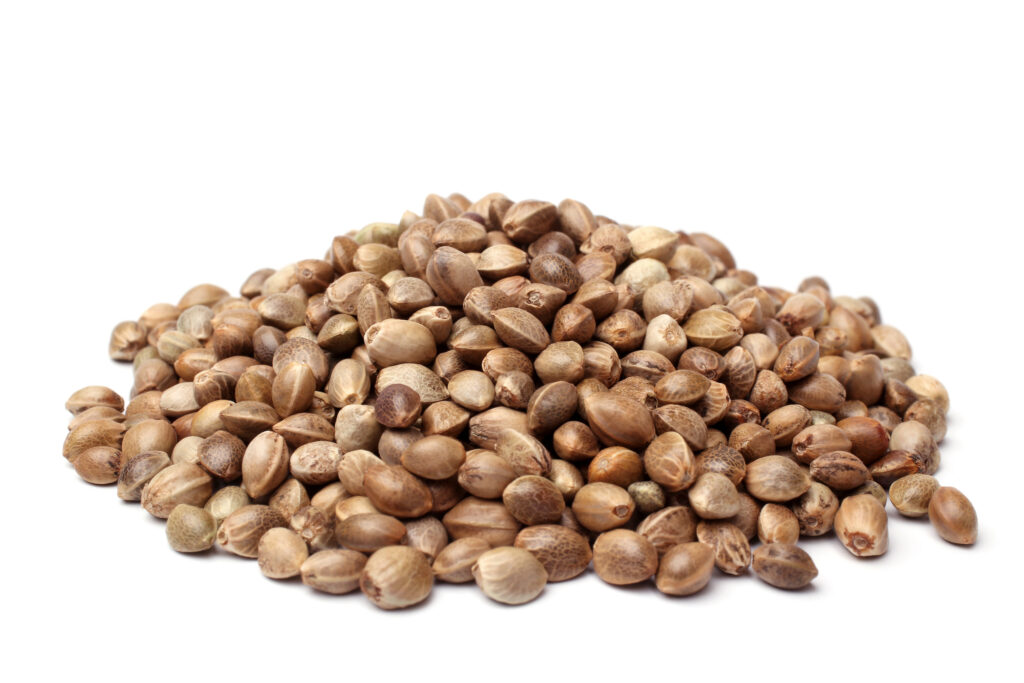 Hemp Oil (cold pressed)