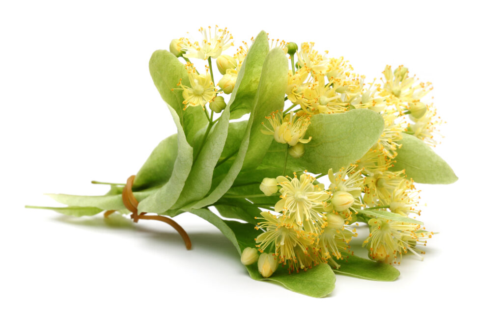 Linden Blossom Pourable