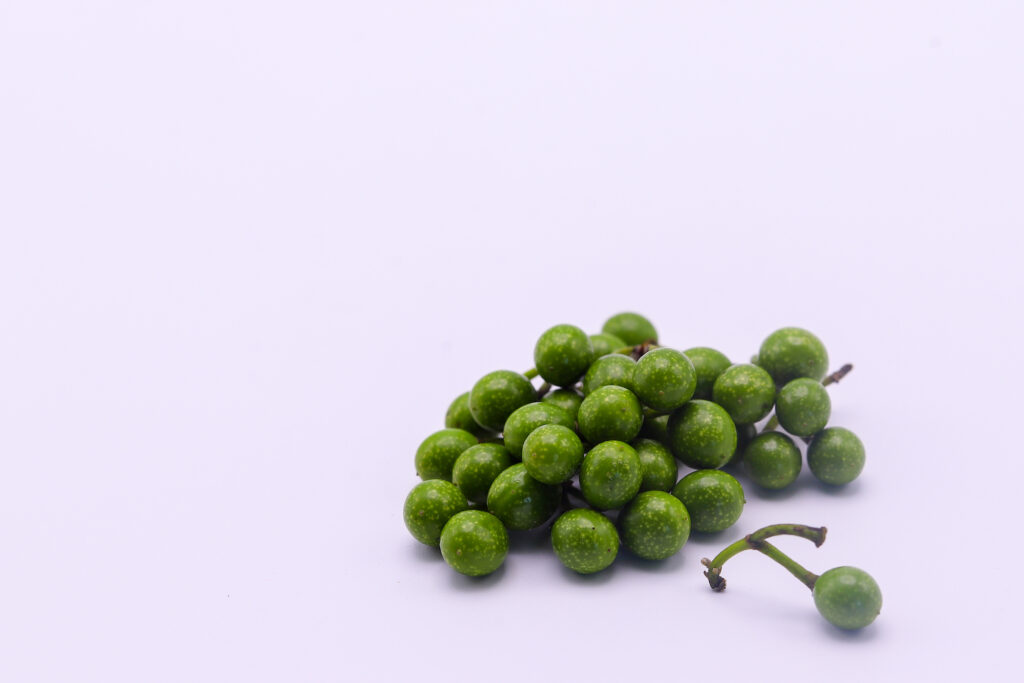 Litsea Cubeba