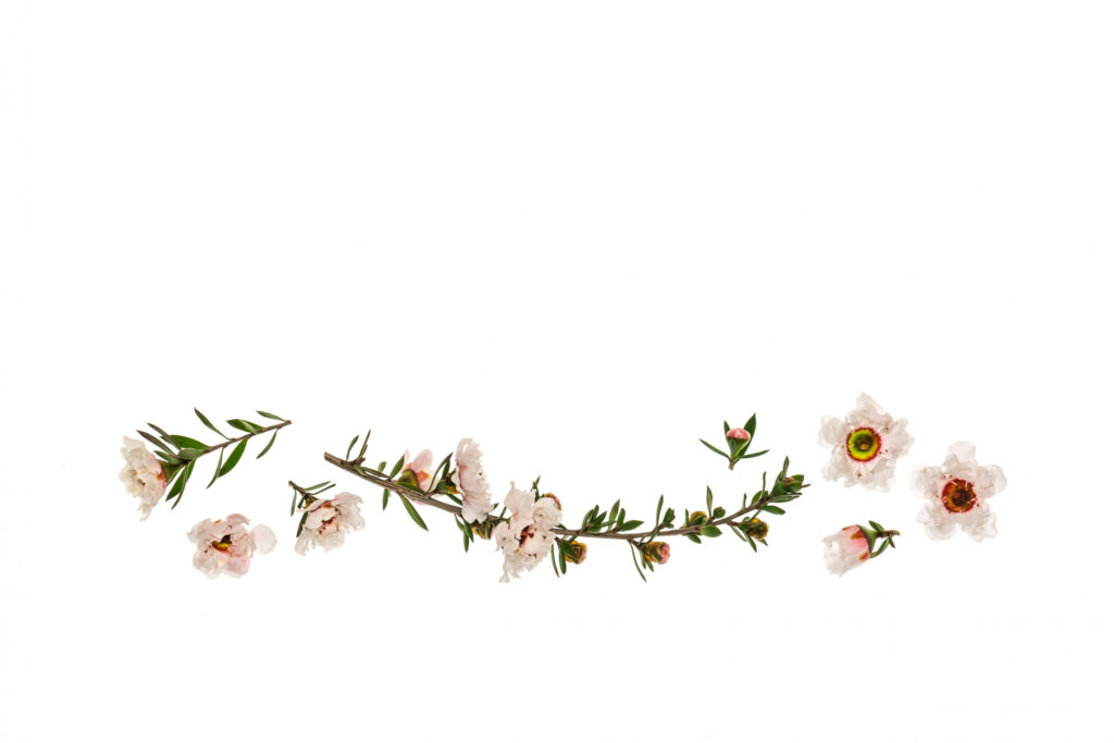 Manuka