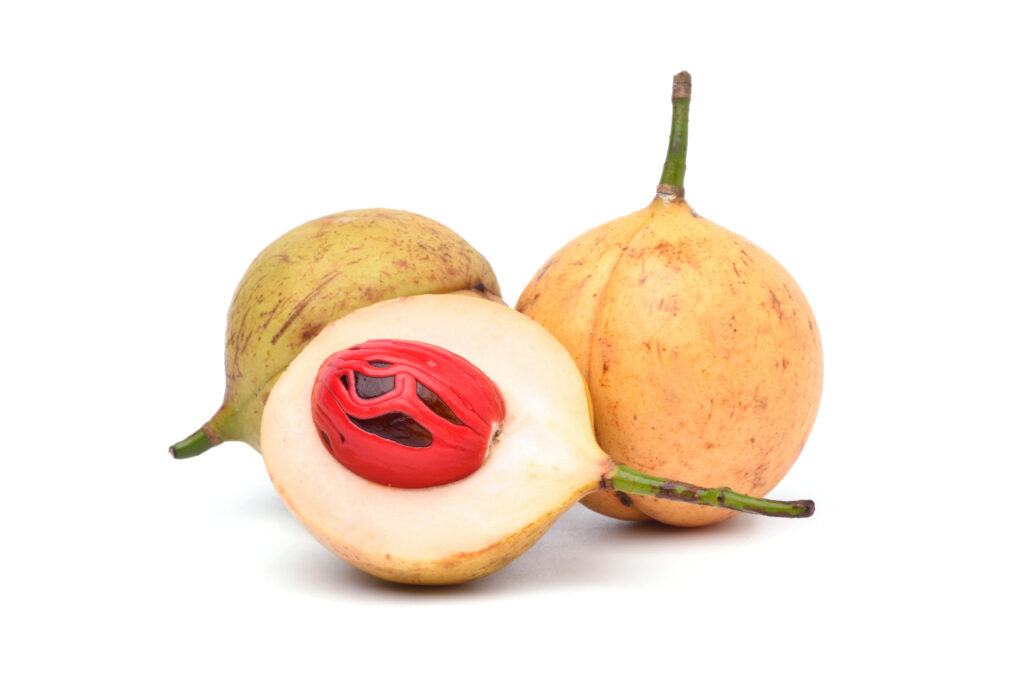 Nutmeg Essential Oil