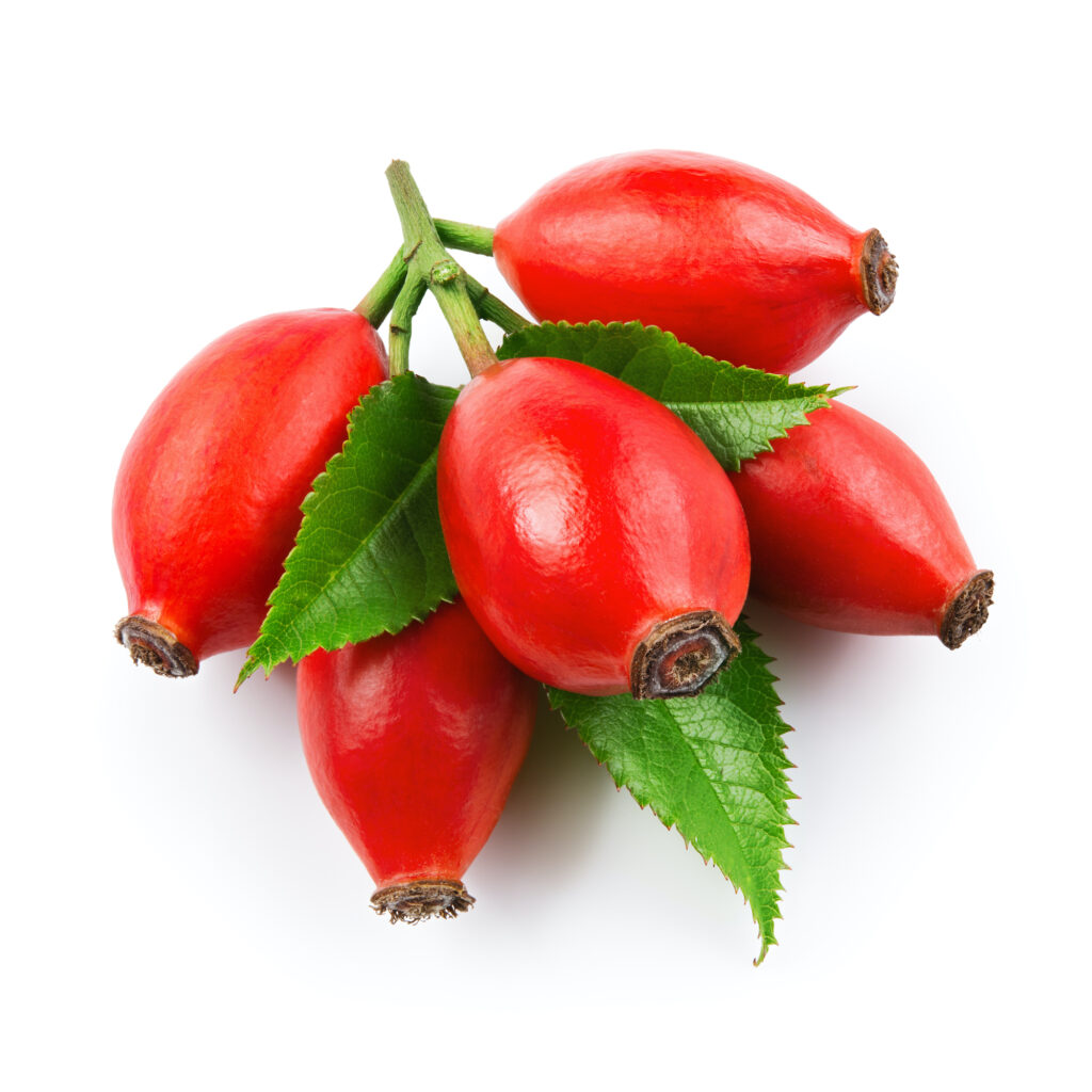 Rosehip Oil (Refined)