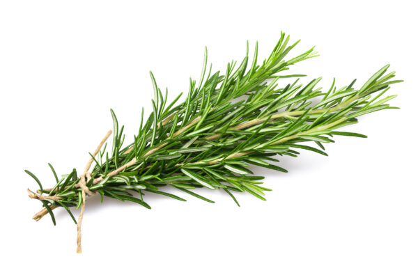Rosemary Floral water