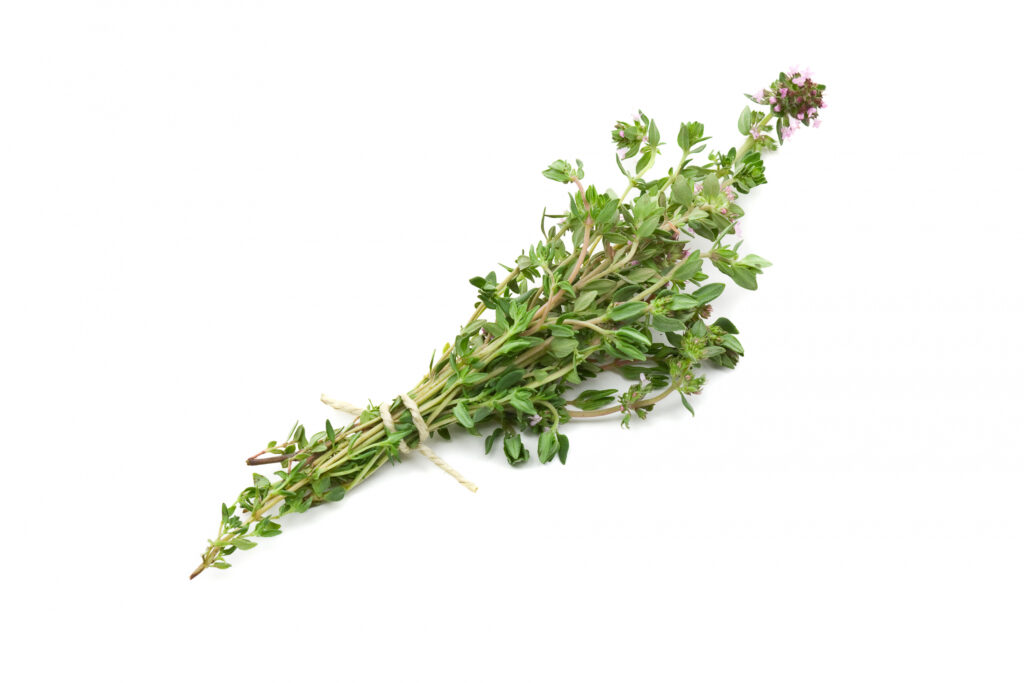 Thyme (English)